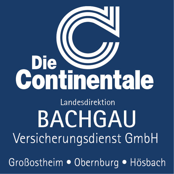 Bachgau Versicherungsdienst GmbH